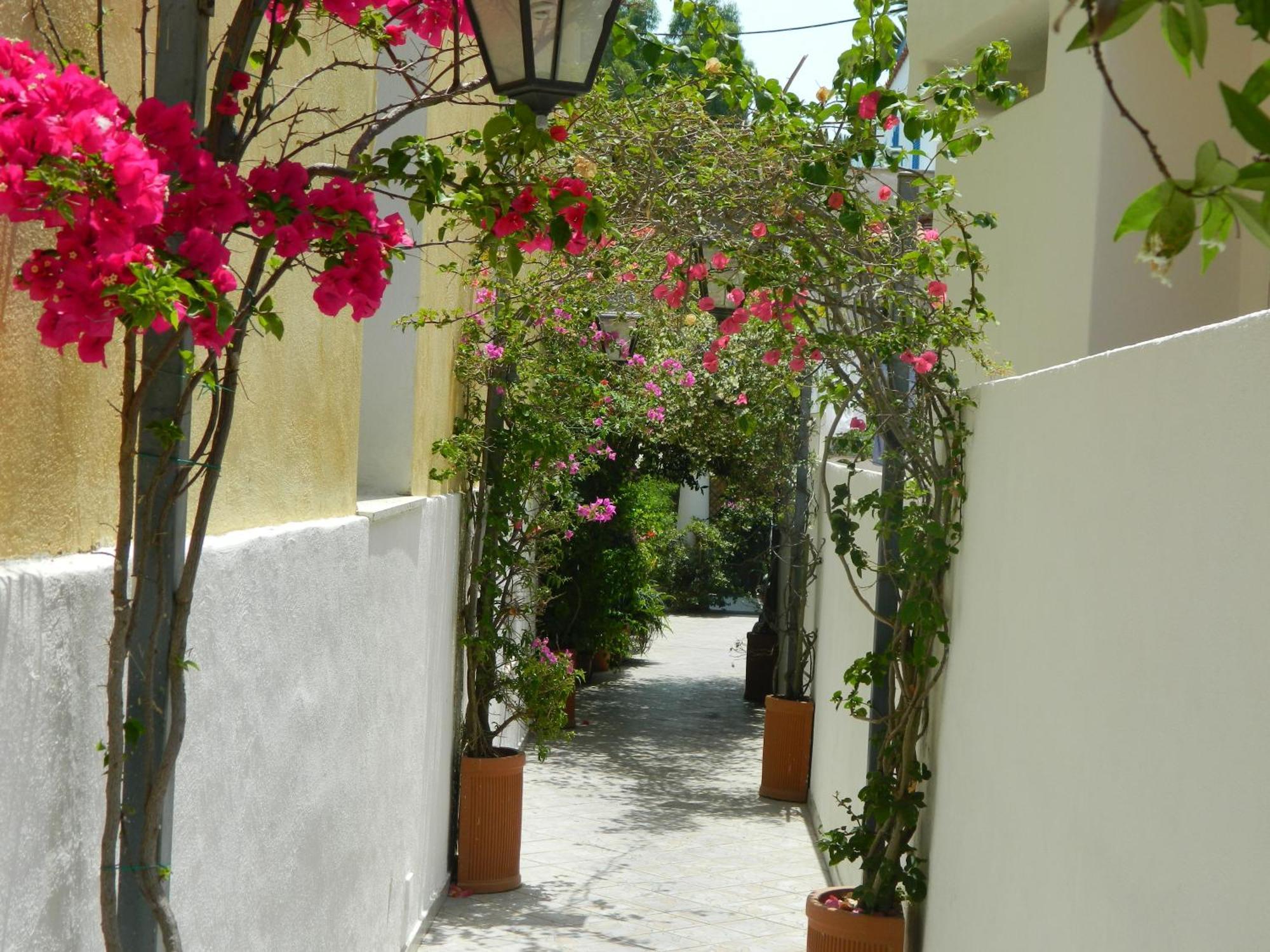 Hotel Villa Hermosa Isquia Exterior foto